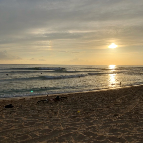 Meet your Posher, Paige - Picture 1 of 1